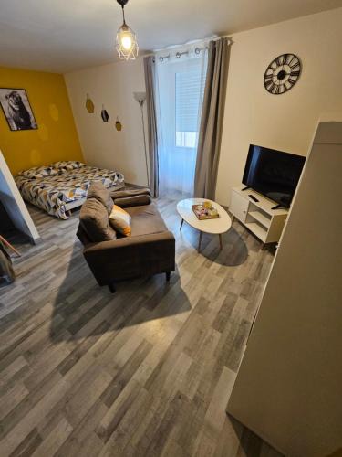 Satolas-et-Bonce Apartment | Appartements entiers proche Aéroport - ZAC Chesnes - CNPE du Bugey Check-In 24h7J