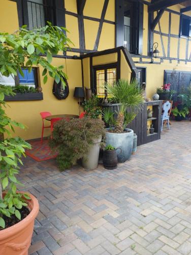 Guemar Apartment | Fank'House