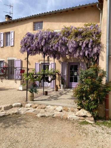 Proulieu House | GITE DU ROY D'AMONT Plaine de l'Ain, repas sur réservation