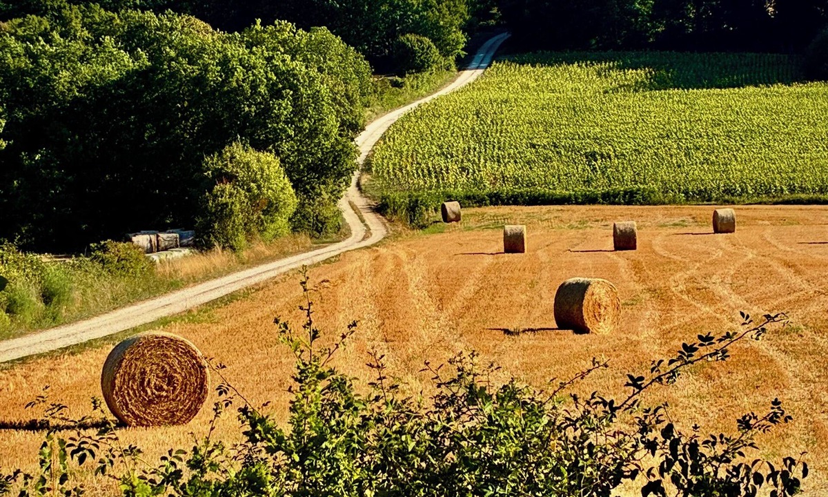 Belveze House | La Palette Rossignol: Swimming pool, spacious rooms & private bath in Occitanie