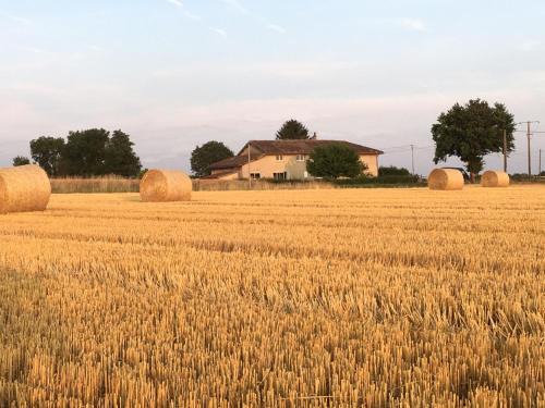 Saint-Trivier-sur-Moignans House | Le clos du chêne - Chambres dans maison Bressane à Saint Trivier sur Moignans