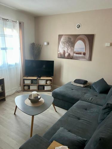 La Cote-Saint-Andre Apartment | Le petit cocon côtois