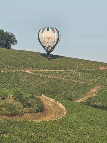 Chablis House | Le Saint Vincent