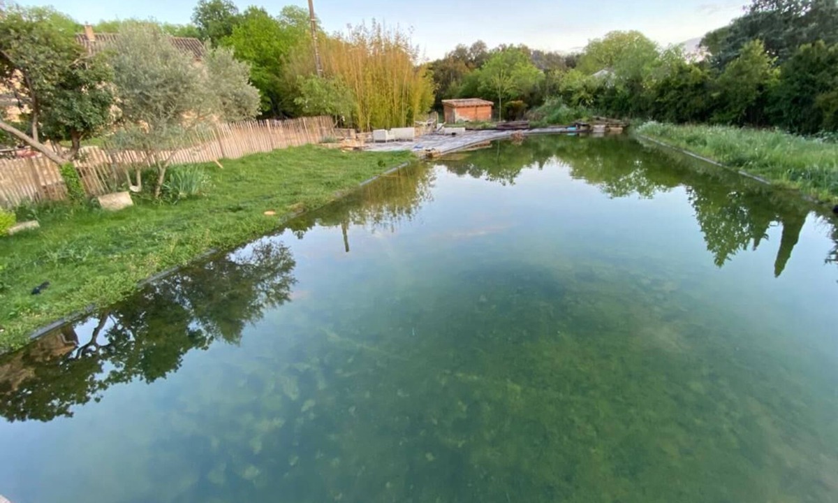 Junas House | "Olive, the natural" Gite nature du Mas des Teullieres