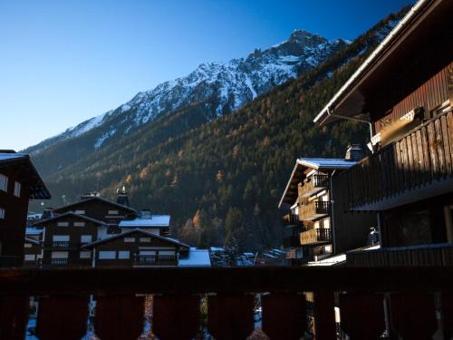 Chamonix City Centre Apartment | Studio lumineux proche des pistes, animaux admis - FR-1-517-32