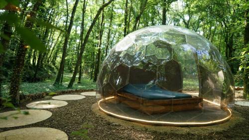 Parmilieu Other | Ô Pays Des Bois - Bulles et logements insolites en pleine nature
