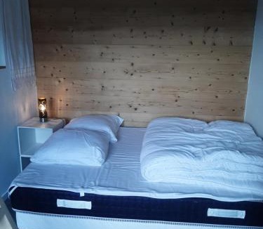 Viuz-en-Sallaz Apartment | 5 min des pistes de ski Grand studio mezzanine