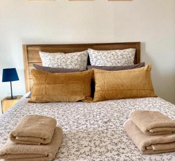 Saint-Priest-en-Jarez Apartment | Appartement en face Hopital Nord
