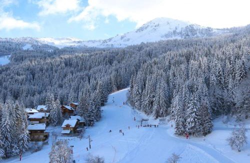 La Perriere Apartment | Appartement rénové au centre de La Tania avec parking - FR-1-568-47
