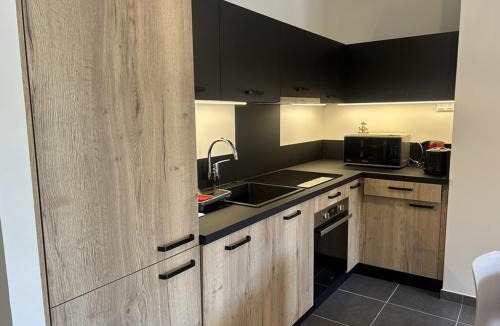 Saint-Jean-dʼAulps Apartment | Appartement spacieux au centre, près télécabine, terrasse - FR-1-573-141