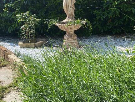 Cameri Bed & Breakfast | B&B Villa Noemi