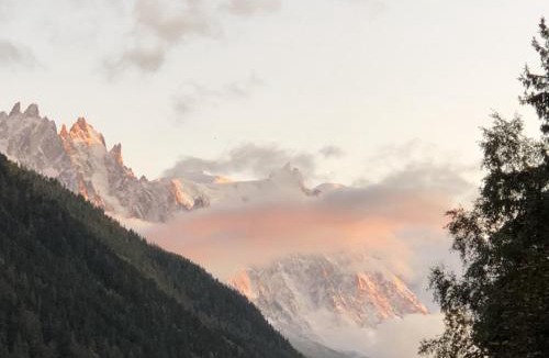 Argentiere Ski Chalet | "Chalet de la FIS" - Spa Privé avec Vue Exceptionnelle