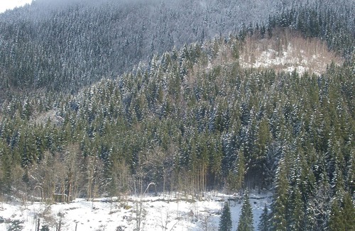 La Ferriere Ski Chalet | +CHALET PIERRE BOIS LAC150m²+ unobstructed mountain and lake views, QUIET AREA