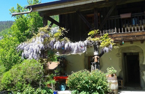 Araches-la-Frasse Cottage | Charme et Poésie