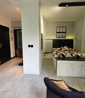 Evian-les-Bains Apartment | Confidentiel Standing-Climatisé-Parking & Terrasse Privé - Port de Plaisance