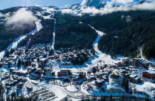 La Perriere Apartment | Confortable 2 Pièces avec Balcon, Animaux Admis, Skis aux Pieds - FR-1-182A-9