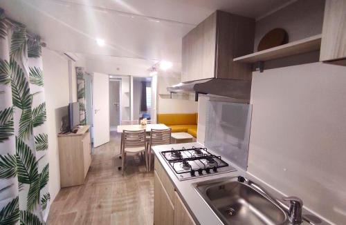 Challes-les-Eaux Other | Family's Camping Le Savoy