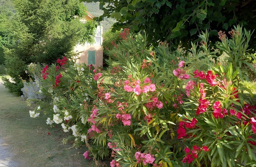 Buis-les-Baronnies House | Gîte Des Pivoines: Romantic Getaway in the South
