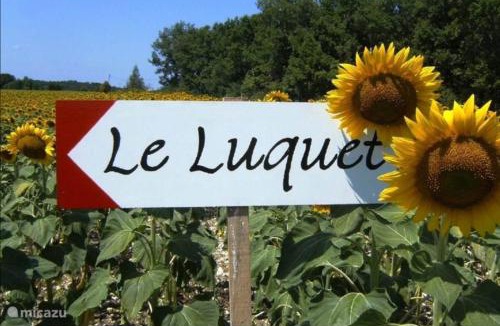 Saint-Beauzeil House | Gite Le pigonnier Ecogite Le Luquet Saint Beauzeil 82150
