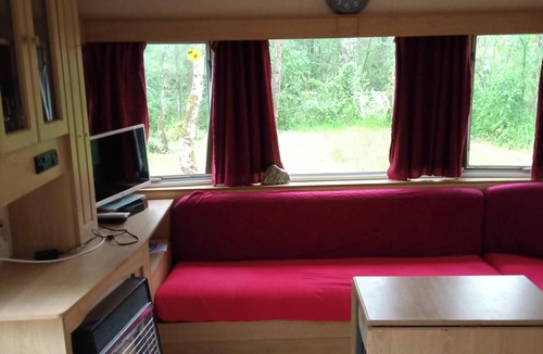 Couret House | Mobile home on a quiet wooded lot with a barbecue and outdoor table.