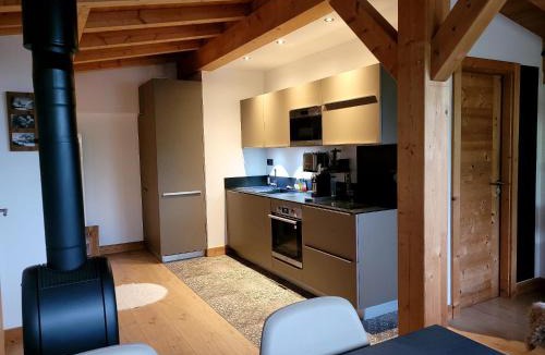 Montriond Apartment | Portes du Soleil T3 "comme un chalet" direct access Morzine Avoriaz