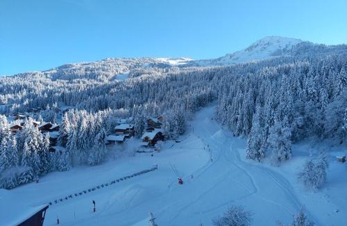 La Perriere Apartment | Résidence Saboïa A Courchevel skis aux pieds