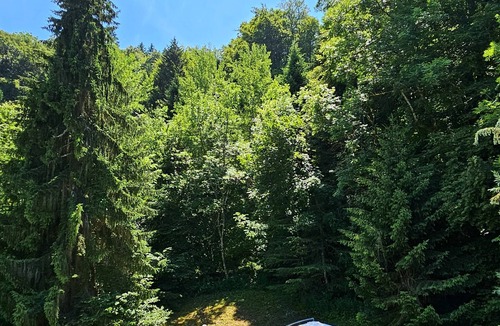La Riviere-Enverse Apartment | Summer/winter rental, ski - hiking Haute-Savoie - peaceful location - friends/family