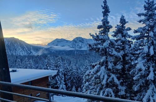 Chamrousse Apartment | V du Bachat Epicea A N24 2P6