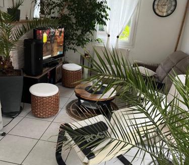 Andrezieux-Boutheon Villa | Villa entière calme le jasmin 2 grandes chambres