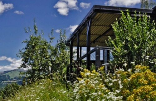 Vic-sur-Cere Ski Chalet | ZEcamping familial piscine couverte dog friendly chalet TV LV 28m2