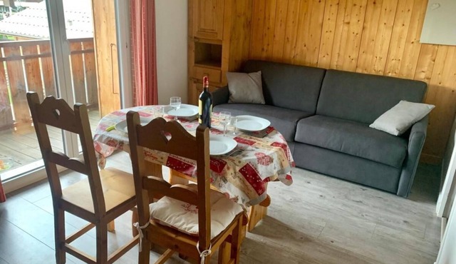 300m from resort center, 2nd floor, balcony, parking, tv, ski locker, 23m², Les Gets