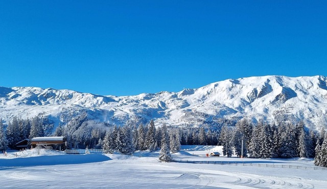 A fully renovated premium apartment with a dream view in Meribel Altiport,France