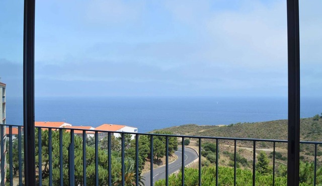 Apartment with Air Conditioning in Banyuls-sur-Mer, Sleeps 6