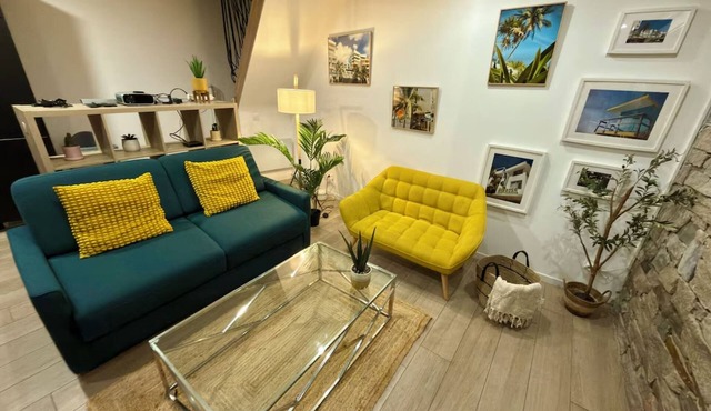Center de Vienne 2 bedroom, 2 bathroom apartment near Lyon