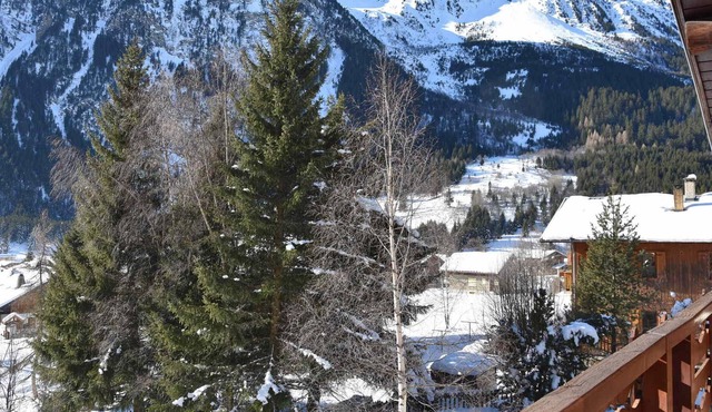 Chalet Pralognan-la-Vanoise, 5 bedrooms, 8 persons