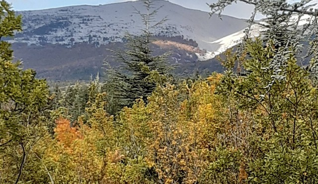 Chalet surrounded by nature 2.5 km from BEDOIN