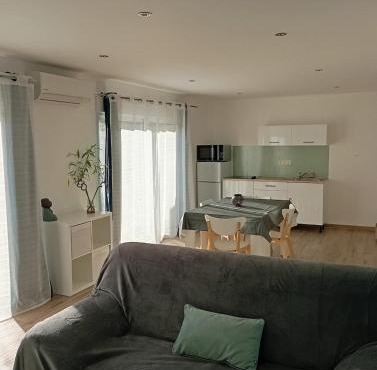 Charmant appartement climatisé