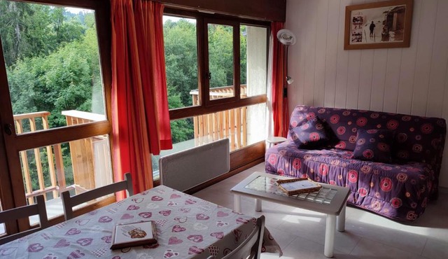 Coquet Studio de 4 personnes aux Carroz - Balcon et Wifi