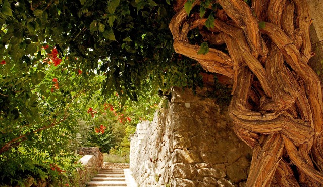 Domaine de l'Eau Vive