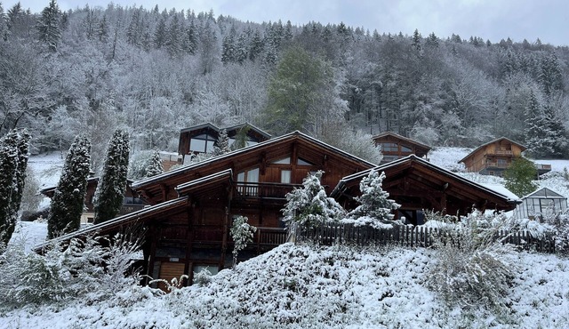 Elegant Chalet Mathilde - 8-10 guests - pet friendly - large garage & terrace