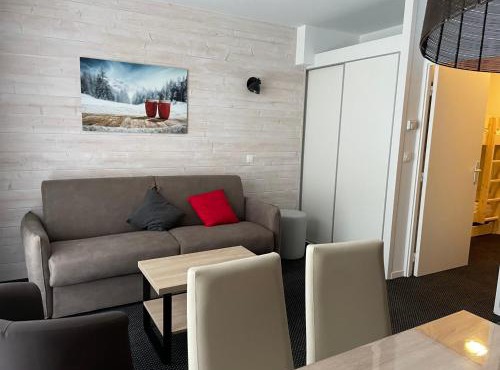 Gourette : Studio 4 pers avec animaux permis, draps inclus - FR-1-860-51