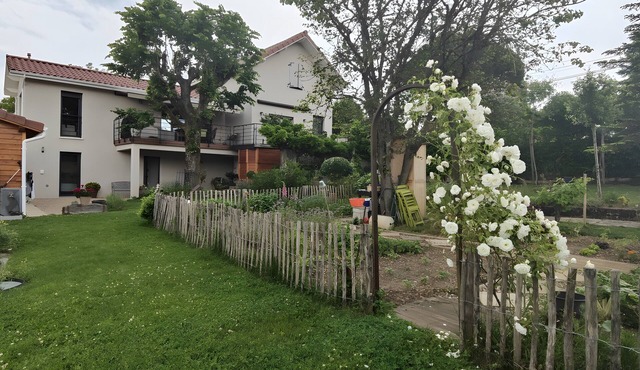 Green Room with Private Terrace, Wi-Fi and Air Conditioning