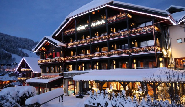 Hôtel Alpina