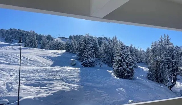 Homerez - Cosy Apt in Chamrousse