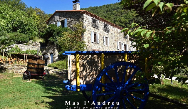 La Vie en Pente Douce - Gîte Abbé Arnulphe* - A haven of peace in the mountains