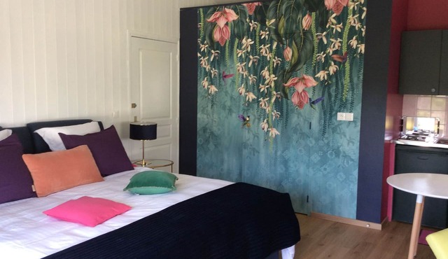 Large, comfortable studio in Issoire