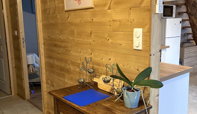 Maisonnette d'Hélène Nordic bath and private sauna in Dompierre-les-Ormes