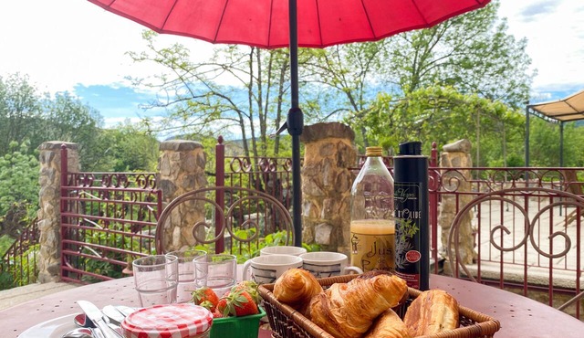 Mas Bourdaric - L'Aïgo - Gîte calme et spacieux avec accès terrasse et piscine