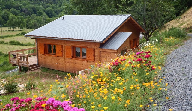 Nature chalet with terrace, pets allowed, Tourism and Handicap certified