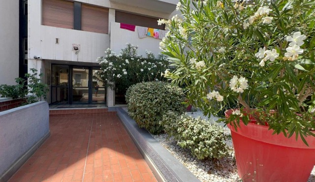 Résidence avec piscine Le Palace Perpignan centre ville